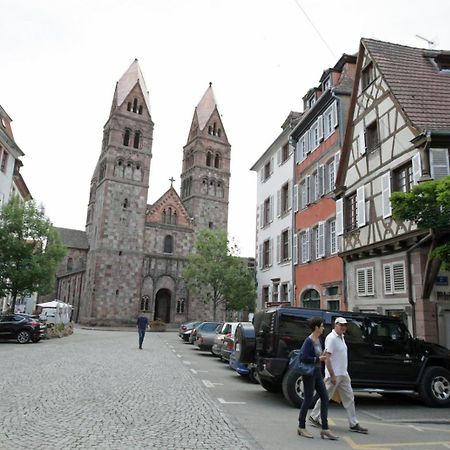 Gite Les Tourterelles Selestat - 30Min Europapark 外观 照片