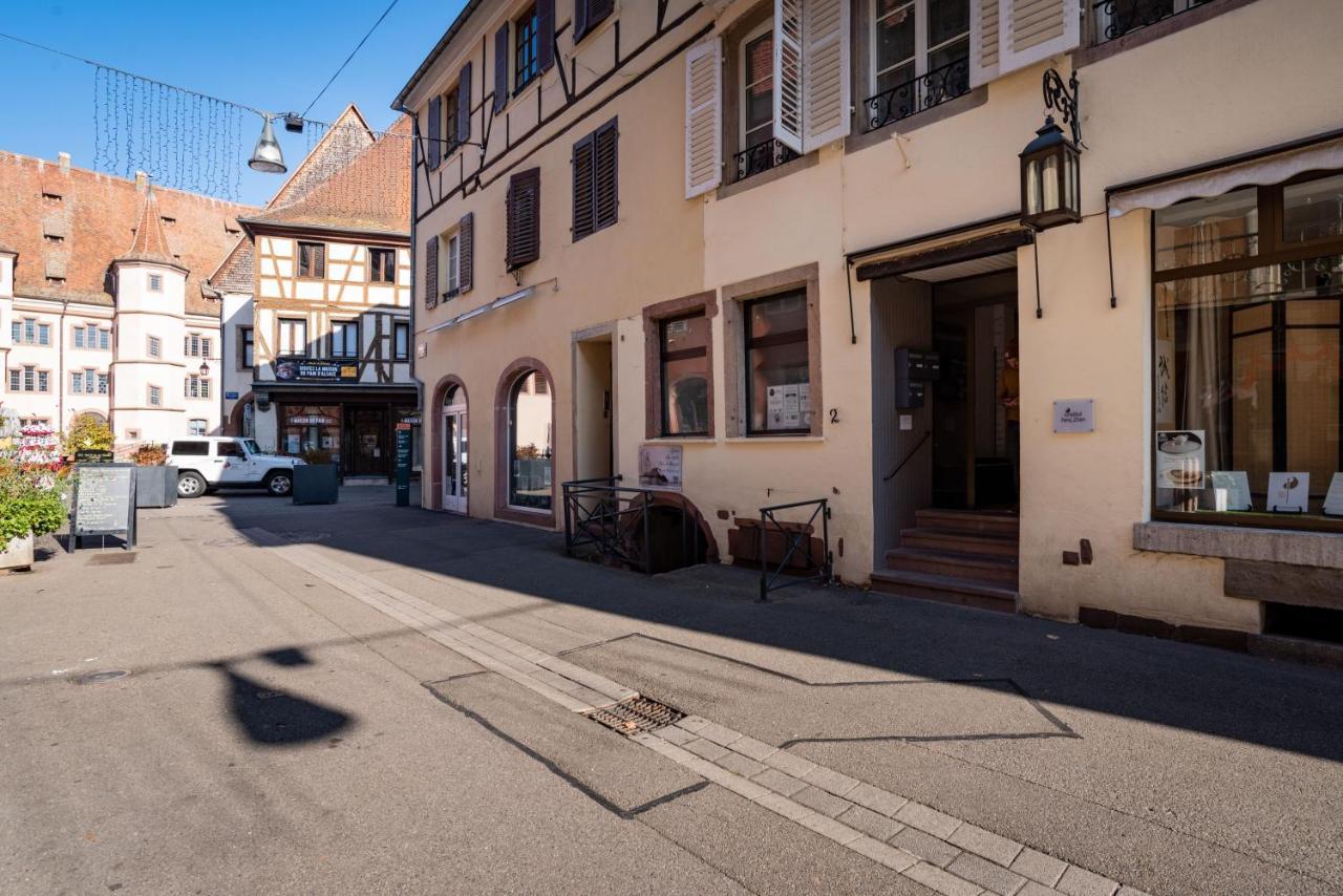 Gite Les Tourterelles Selestat - 30Min Europapark 外观 照片